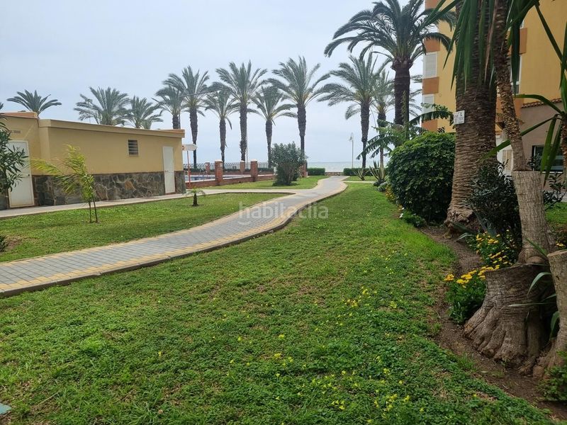 Foto f550deff-ef5a-45d8-a863-b42d78a3dbf0. Alquiler estudio  con impresionantes vistas al mar en Algarrobo Costa