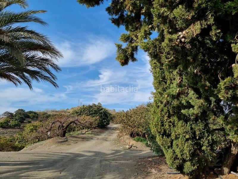 Foto 05dbf294-60f5-42c8-aa4a-de9bc8c207a8. Mas dans Viñuela