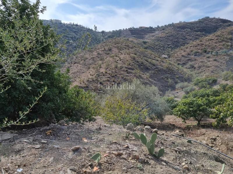 Foto 7d1bfc33-e816-4c52-99a4-8e544024d2fc. Mas dans Viñuela