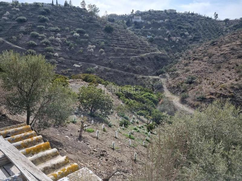 Foto a9cfb825-785e-433a-a8e6-8d9da5595d16. Mas dans Viñuela