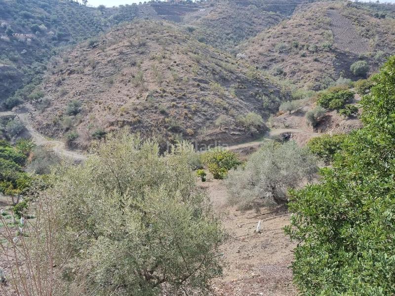 Foto c504ee70-0900-4fef-9756-2bcf18577334. Mas dans Viñuela