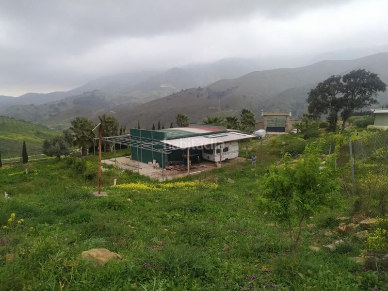 Foto 53fd74eb-e5ff-48b2-8ff6-072a4041ab7f. Terreny residencial a Carratraca