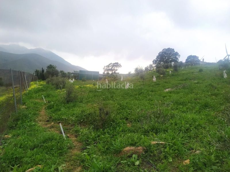 Foto 5a0d6da2-7354-4f85-ad44-ae0637e21484. Terreny residencial a Carratraca