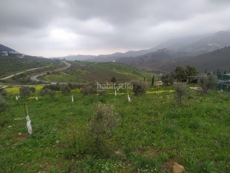 Foto 6afcbb48-e255-4f8e-a667-adfb01308ffa. Terreny residencial a Carratraca