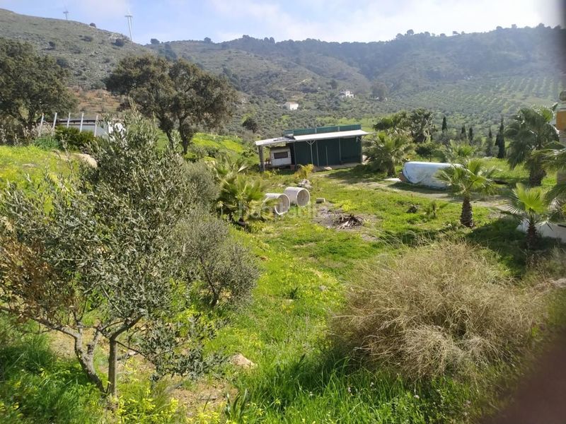 Foto 6d26da03-a523-499b-b5eb-9dd9571c4239. Terreny residencial a Carratraca