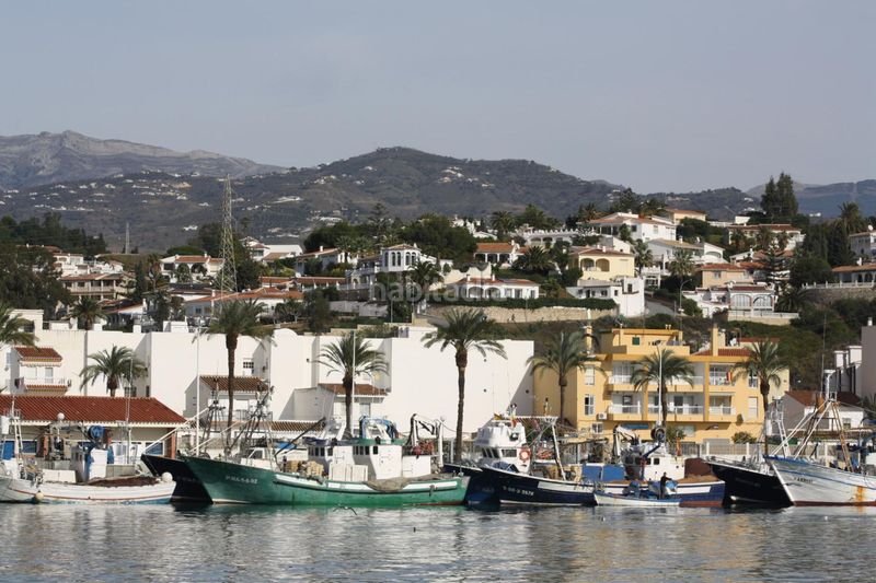 Foto 98091770-4380-4fc7-9cbd-13255ca3e4ee. Lloguer apartament amb calefacció piscina a Laguna Beach Torrox