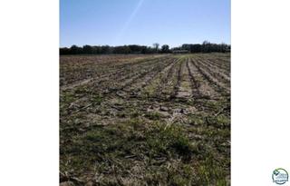 Terreny residencial  El vernar de dalt. Amplio terreno agrícola en venta castello dempuries