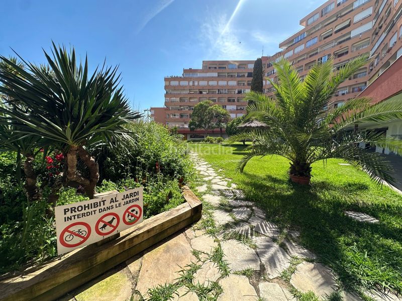 Foto bd1ad687-0648-486c-b490-3f42cce5e140. Estudi a cap llevant 11 a Santa Margarida Roses