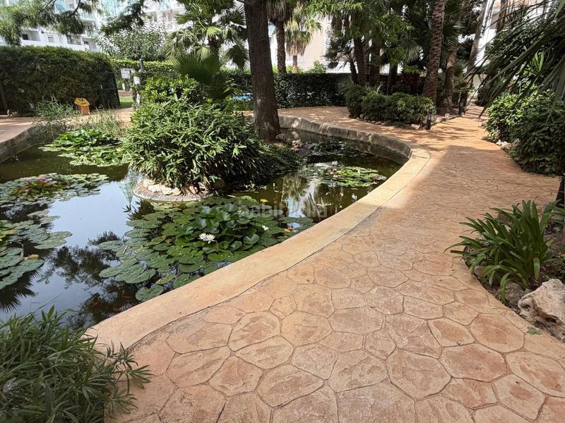 Foto bfe644e9-0859-4564-96f0-9d3b7d17e77b. Apartament amb calefacció piscina a Santa Margarida Roses
