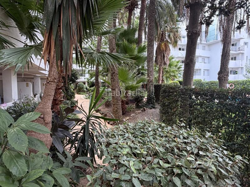 Foto e42cf69f-81c4-4cb6-a415-c261090f2e25. Apartament amb calefacció piscina a Santa Margarida Roses