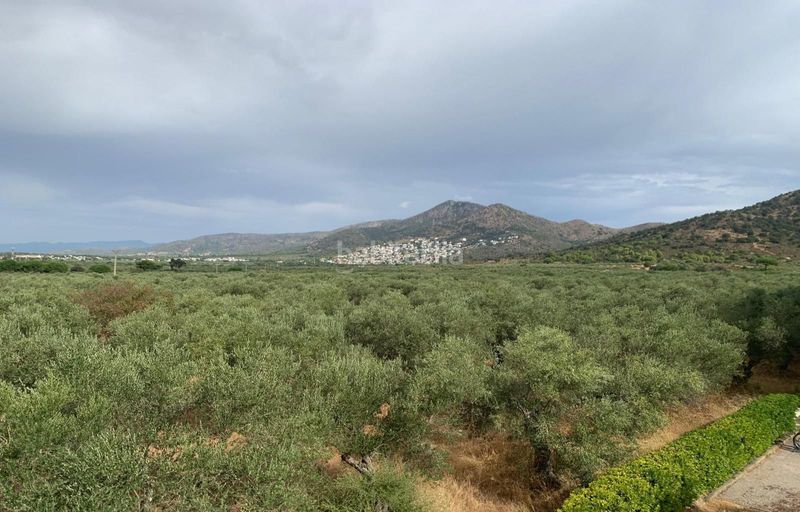 Foto cda55487-b4e3-48a7-a1d4-45ce33bc6695. Apartament a praga 4 a Els Grecs-Mas Oliva Roses