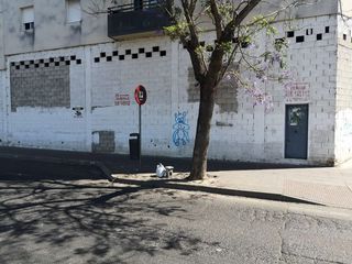 Local Comercial en San Telmo - Federico Mayo - El Porta. Jerez de la fronteralocal