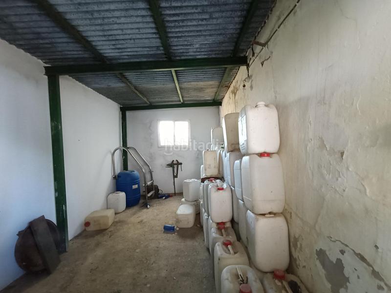 Foto 25d0a993-67b2-496e-8cc0-cc51259d9683. Mas dans Arcos de la Frontera