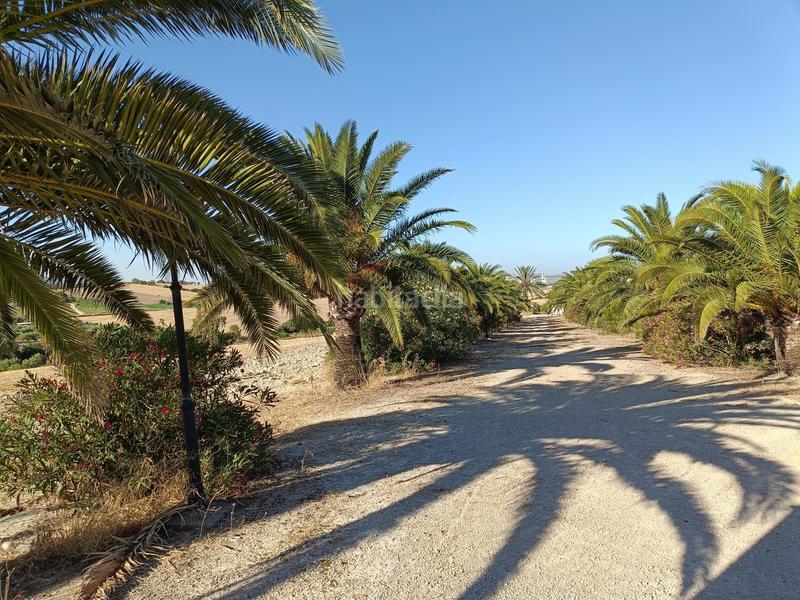 Foto 7258c681-cc40-4b74-8629-c8d90186d11d. Mas dans Arcos de la Frontera