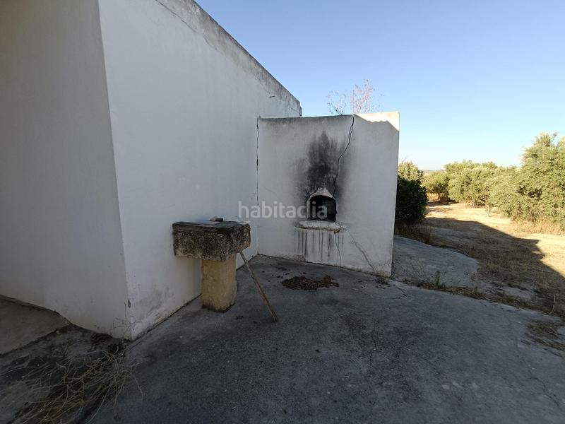 Foto e2efec74-4d27-4006-a821-fc03042d632f. Mas dans Arcos de la Frontera