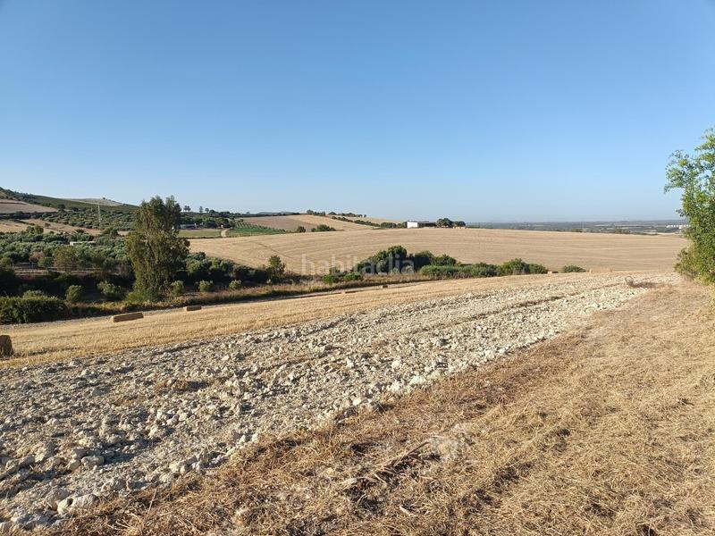 Foto ee8ea47e-03cf-4ec9-b472-8452f276656b. Mas dans Arcos de la Frontera