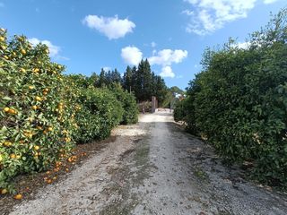 Masia en Parque Atl�ntico - Ronda este. Jerez de la fronterafinca rustica
