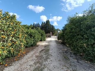 Masia a Parque Atlántico - Ronda este. Jerez de la fronterafinca rustica