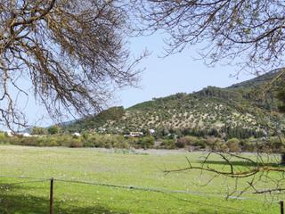 Masia a Bosque (El). El bosquefinca rustica