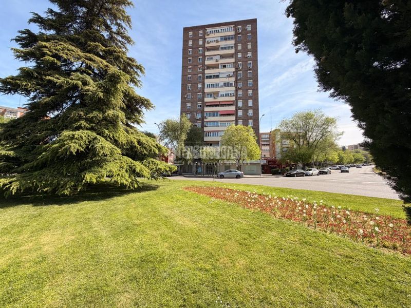 Foto fd3ef462-662c-4de0-afe8-d2e94f0b46cf. Pis amb calefacció a Media Legua Madrid