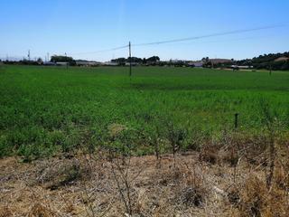 Terreno residencial en Parque Atlántico - Ronda este