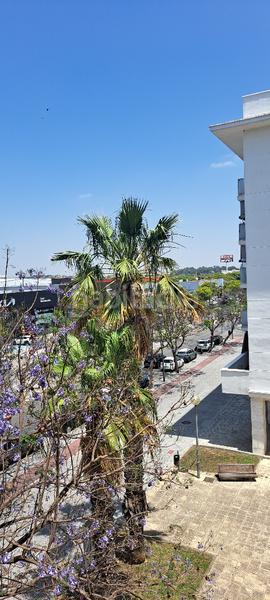 Foto f5c4e0a9-5296-4f2f-9309-645a73439a2b. Piso en calle hermano valeriano león 1 piso lujo avda. tio pepe en Jerez de la Frontera