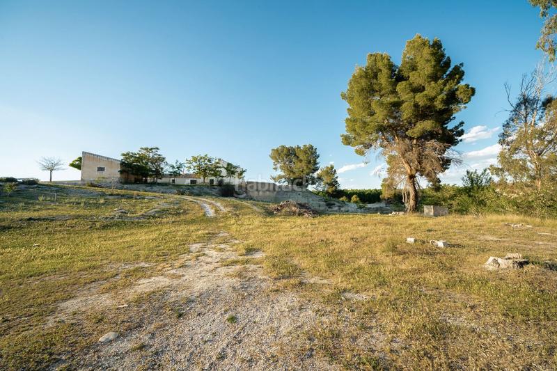 Foto 03c82bbb-825b-464a-8051-c4fa1215c00a. Fondo rustico in plaza constitucion 18 in Cortes de Baza