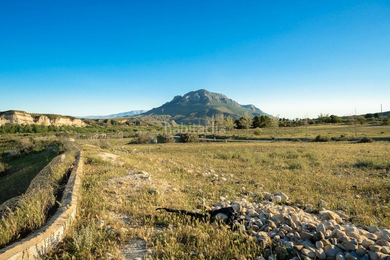 Foto 28c9ebab-a563-4894-bdf4-2d7a4353111d. Fondo rustico in plaza constitucion 18 in Cortes de Baza