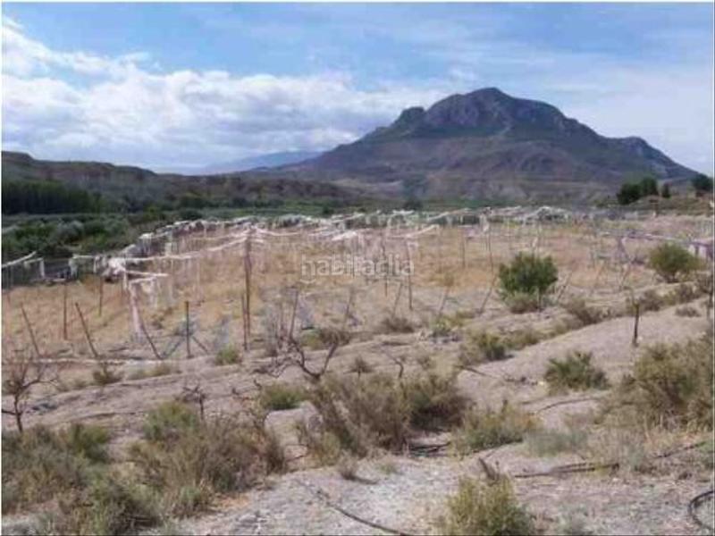 Foto 526cc66d-4c13-4f67-8a67-c0fe6784eef7. Fondo rustico in plaza constitucion 18 in Cortes de Baza