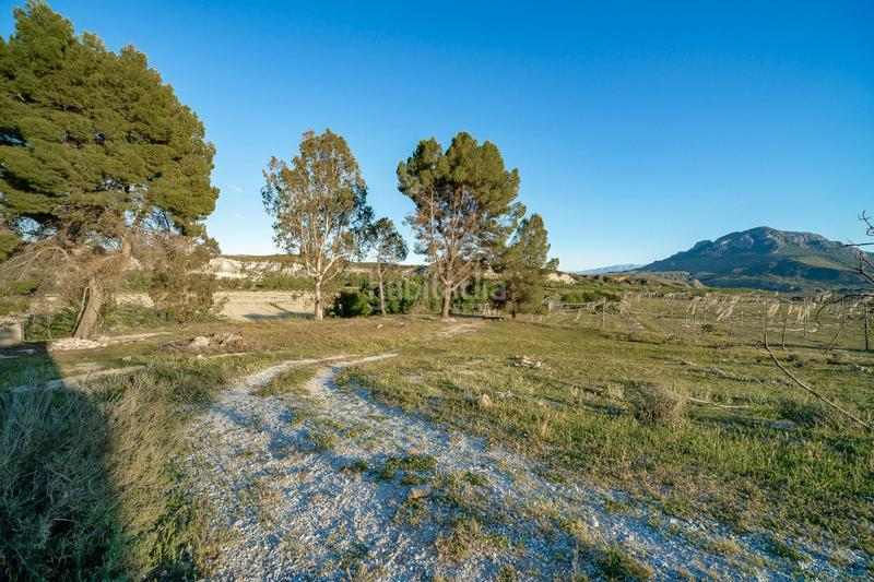 Foto af708f9d-cc63-4615-92f4-80b5e1a99de4. Fondo rustico in plaza constitucion 18 in Cortes de Baza