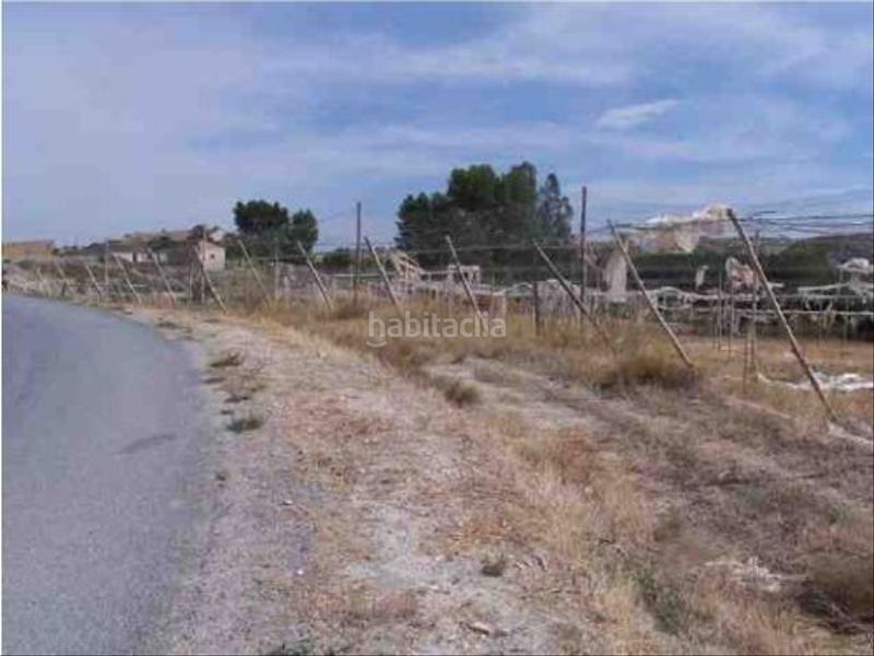 Foto cd2e8d16-efc6-4cef-9b9e-065c49599600. Fondo rustico in plaza constitucion 18 in Cortes de Baza