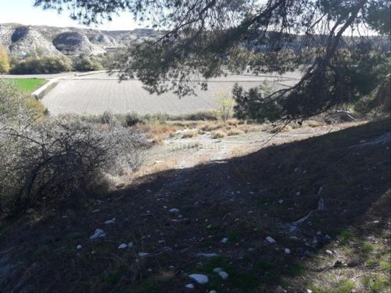 Foto 309d03af-5e0c-4783-aebe-5ff25ff43d88. Finca rústica en plaza constitucion 18 en Cortes de Baza