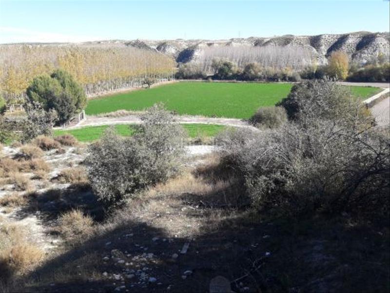 Foto 6337123d-81e6-4519-bbe0-91d0c8b96e86. Finca rústica en plaza constitucion 18 en Cortes de Baza