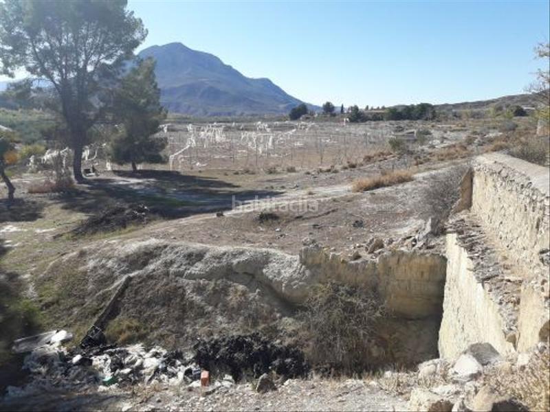 Foto 68020c27-0820-4cb8-a39f-f7714b00da29. Finca rústica en plaza constitucion 18 en Cortes de Baza