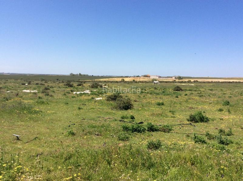 Foto 2de3cc76-5c02-480f-a4d4-ac7b08e248b6. Propriété dans Almonte Almonte