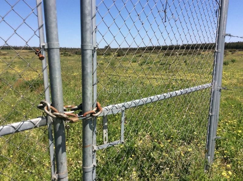 Foto ecdb0edb-d53f-421d-9dea-4a37653014f7. Propriété dans Almonte Almonte