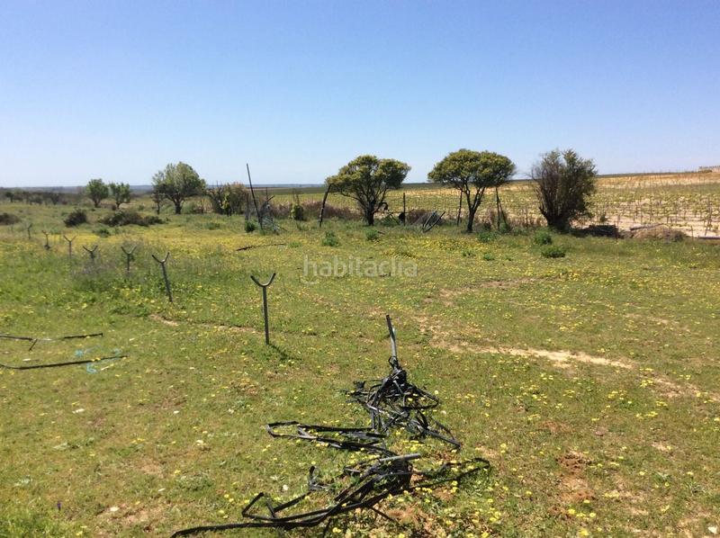 Foto 917a71ef-50dc-4e08-a1b8-2252e62ff0d9. Finca rústica a Almonte Almonte