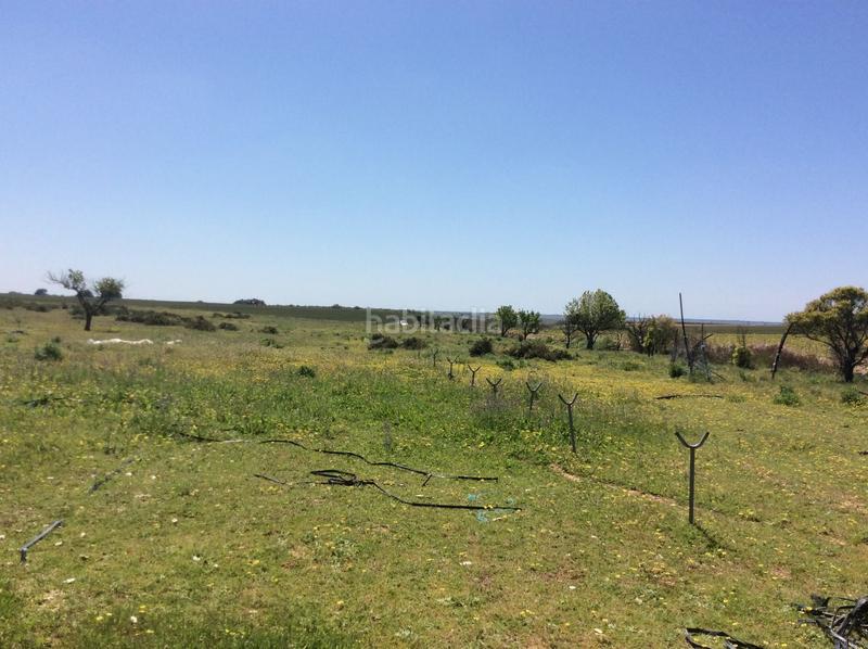 Foto a9e80fa1-a83d-48e6-a244-6d79e352fcfa. Finca rústica a Almonte Almonte