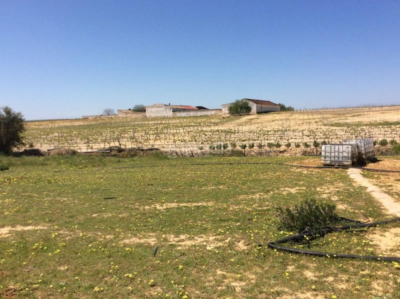 Foto dde741b3-53d2-47ce-954f-c68a13836d0b. Finca rústica a Almonte Almonte
