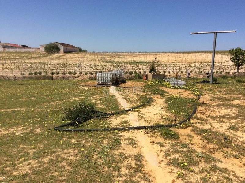 Foto fc165150-8b07-4885-855f-5ffc87d43d66. Finca rústica a Almonte Almonte