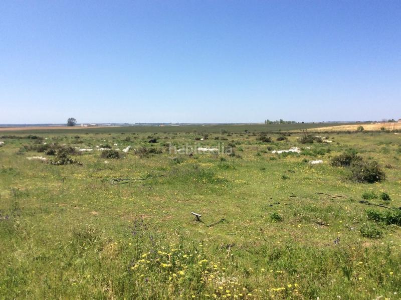 Foto 0131f926-0795-4d55-9a54-933ed8540a6c. Finca rústica en Almonte Almonte