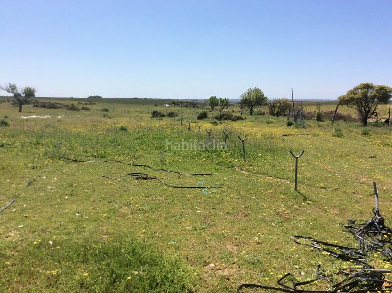 Foto 10d5969b-b136-49ad-92eb-62ec23dadd67. Finca rústica en Almonte Almonte