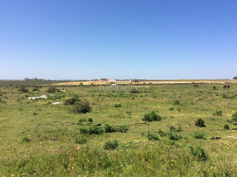 Foto 8bf72dd8-05cb-4294-9698-35cc46a1b1a3. Finca rústica en Almonte Almonte