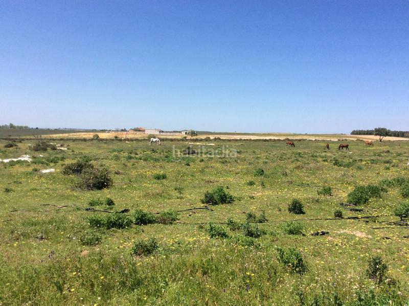 Foto 8f1afaa9-ee49-4816-a89e-4c81dfb1a75f. Finca rústica en Almonte Almonte