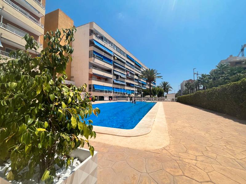 Foto 8ca0a487-9043-45b8-98f3-24527cbe92cb. Apartamento en Orihuela ciudad Orihuela