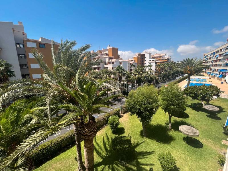 Foto b71878ed-f950-4a81-aedc-eacd224b1195. Apartamento en Orihuela ciudad Orihuela