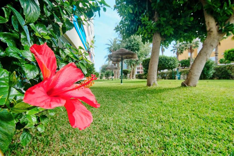 Foto 2c0b80ab-23e6-4f91-9ca4-93eb37540dd4. Apartment with parking pool in Orihuela ciudad Orihuela