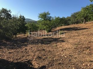 Foto 06e00d6e-9e94-4b18-a204-d8ccd16f0af2. Finca rústica a Cortegana