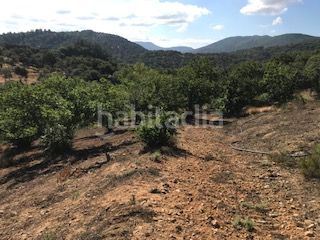 Foto 0ac7604f-58bc-46f7-9439-414377d19e6e. Finca rústica a Cortegana