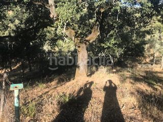 Foto 1c06ddb5-39a5-4291-a115-0e2ecf8f2a4c. Finca rústica a Cortegana